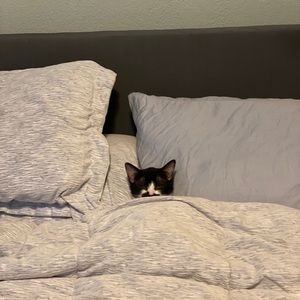 Meet your Posher, Kaili